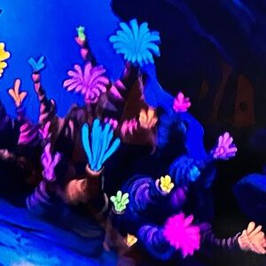 Meet your Posher, Lala